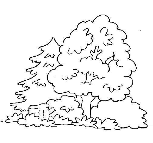 Dibujo de Bosque para Colorear - Dibujos.net