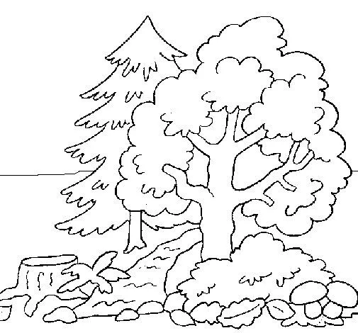Dibujo de Bosque 1 para Colorear - Dibujos.net Dibujo de Bosque 1 para Colorear - Dibujos.net