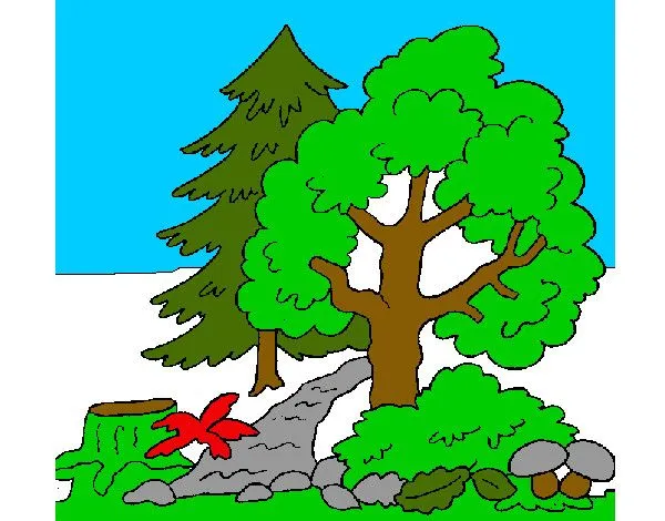 Dibujo de un bosque para cuidar pintado por Yenny29 en Dibujos.net ...