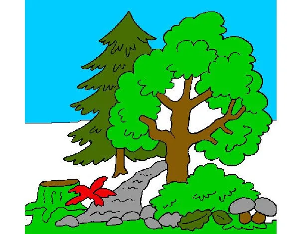 Dibujo de un bosque para cuidar pintado por Yenny29 en Dibujos.net ... Dibujo de un bosque para cuidar pintado por Yenny29 en Dibujos.net ...