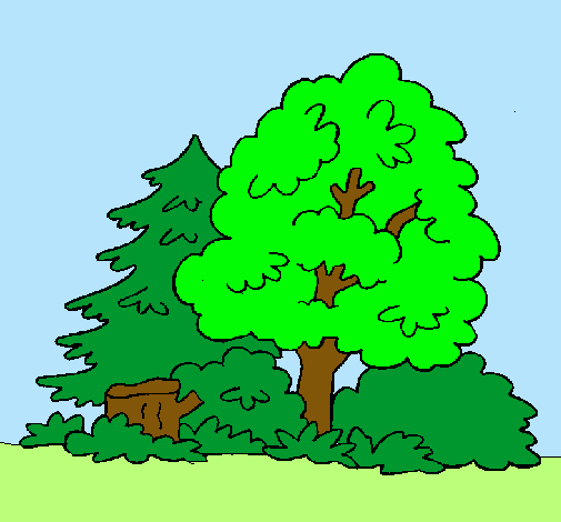 Dibujo de Bosque pintado por Arboles en Dibujos.net el día 05-04 ... Dibujo de Bosque pintado por Arboles en Dibujos.net el día 05-04 ...