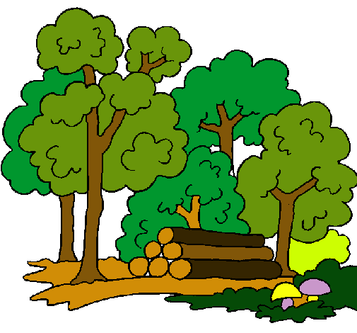 Dibujo de Bosque pintado por Arboles en Dibujos.net el día 26-11 ... Dibujo de Bosque pintado por Arboles en Dibujos.net el día 26-11 ...
