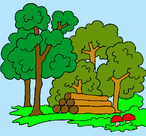 Dibujo de Bosque pintado por Bosque en Dibujos.net el día 14-03-11 ... Dibujo de Bosque pintado por Bosque en Dibujos.net el día 14-03-11 ...