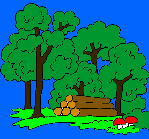 Dibujo de Bosque pintado por Bosque en Dibujos.net el día 21-12-10 ... Dibujo de Bosque pintado por Bosque en Dibujos.net el día 21-12-10 ...