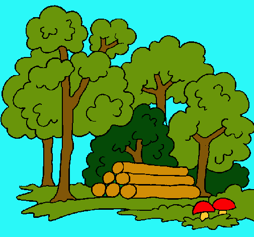 Dibujo de Bosque pintado por Bosque en Dibujos.net el día 29-11-10 ... Dibujo de Bosque pintado por Bosque en Dibujos.net el día 29-11-10 ...