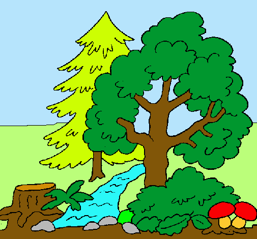 Dibujo de Bosque pintado por Bosques en Dibujos.net el día 22-03 ... Dibujo de Bosque pintado por Bosques en Dibujos.net el día 22-03 ...