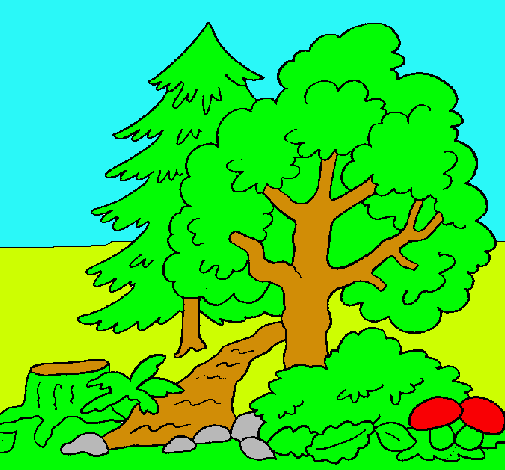 Dibujo de Bosque pintado por Campo en Dibujos.net el día 04-01-11 ... Dibujo de Bosque pintado por Campo en Dibujos.net el día 04-01-11 ...
