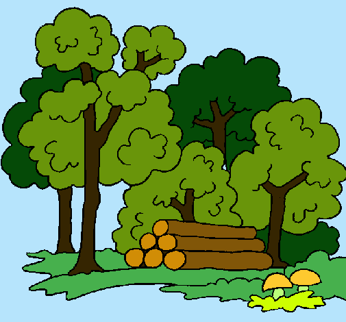 Dibujo de Bosque pintado por Mariposa en Dibujos.net el día 16-11 ...