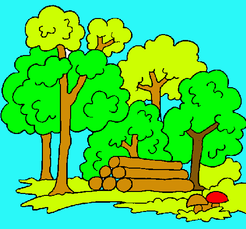 Dibujo de Bosque pintado por Naturaleza en Dibujos.net el día 25 ...