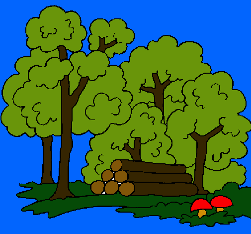 Dibujo de Bosque pintado por Naturaleza en Dibujos.net el día 25 ... Dibujo de Bosque pintado por Naturaleza en Dibujos.net el día 25 ...