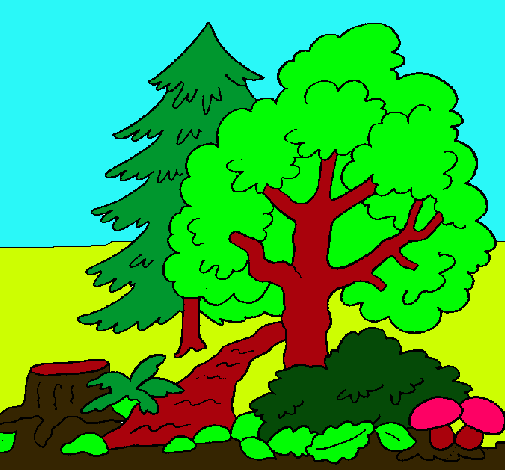 Dibujo de Bosque pintado por Naturaleza en Dibujos.net el día 31 ... Dibujo de Bosque pintado por Naturaleza en Dibujos.net el día 31 ...
