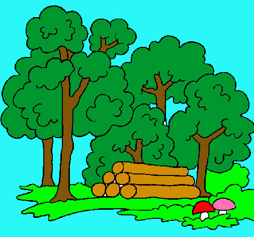 Dibujo de Bosque pintado por Pino en Dibujos.net el día 24-10-10 a ... Dibujo de Bosque pintado por Pino en Dibujos.net el día 24-10-10 a ...