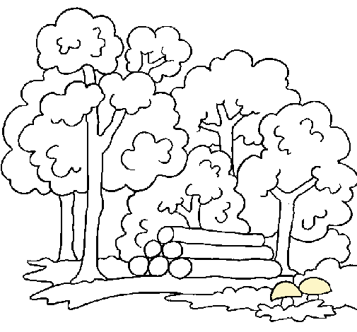 Dibujo de Bosque pintado por Selva en Dibujos.net el día 24-08-10 ... Dibujo de Bosque pintado por Selva en Dibujos.net el día 24-08-10 ...