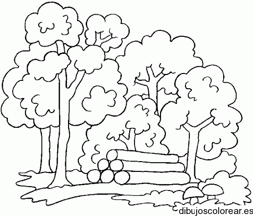 Dibujo de un bosque con tala de árboles | Dibujos para Colorear