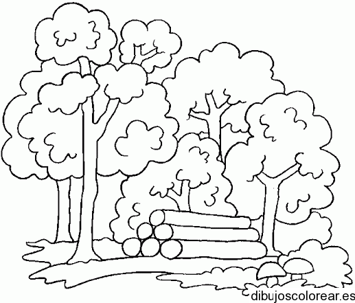 Dibujo de un bosque con tala de árboles | Dibujos para Colorear Dibujo de un bosque con tala de árboles | Dibujos para Colorear