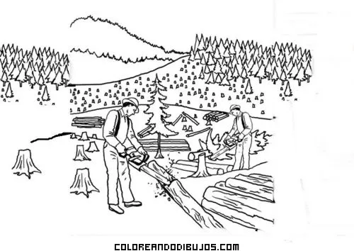 Bosques Para Colorear