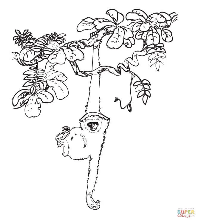 Dibujo de Bosque Tropical para colorear | Dibujos para colorear imprimir gratis Dibujo de Bosque Tropical para colorear | Dibujos para colorear imprimir gratis