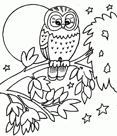 Dibujo de Búho. Dibujo para colorear de Búho. Dibujos infantiles de ... Dibujo de Búho. Dibujo para colorear de Búho. Dibujos infantiles de ...