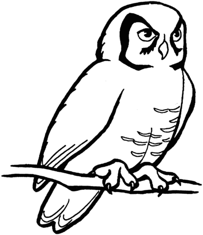 Dibujo de Búho posado para colorear | Dibujos para colorear ...