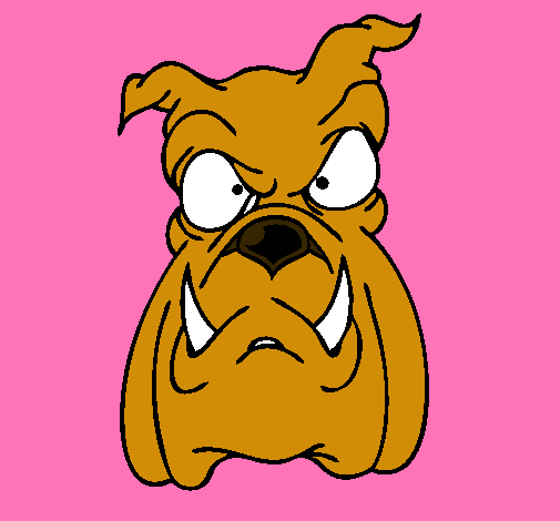 Dibujo de Bull dog II pintado por Boxer en Dibujos.net el día 25 ... Dibujo de Bull dog II pintado por Boxer en Dibujos.net el día 25 ...