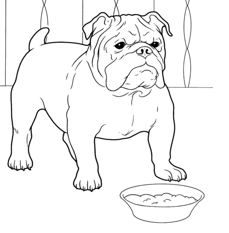Dibujo de Bulldog Francés para colorear | Dibujos para colorear ...