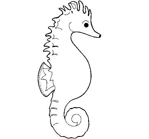 Dibujo de Caballito de mar 1 para Colorear - Dibujos.net Dibujo de Caballito de mar 1 para Colorear - Dibujos.net