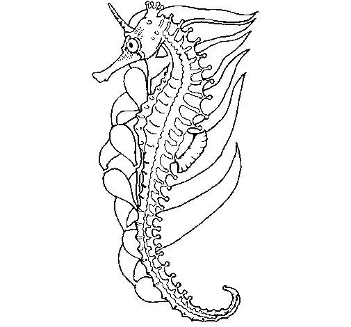 Dibujo de Caballito de mar oriental para Colorear - Dibujos.net