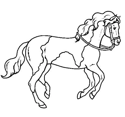 Dibujo de Caballo 5 para Colorear - Dibujos.net