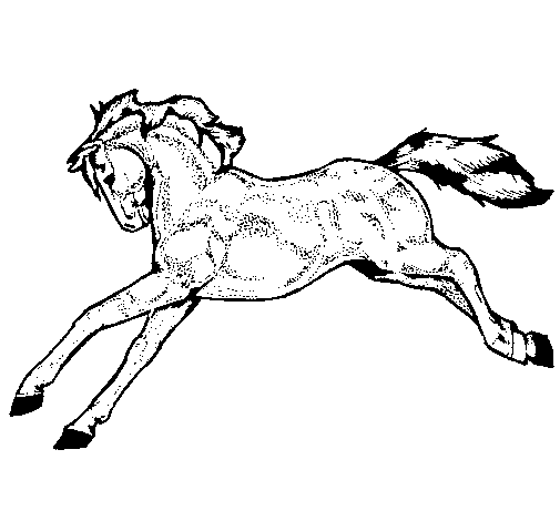 Dibujo de Caballo corriendo 1 para Colorear