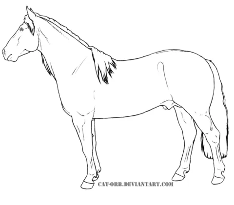Dibujo de Caballo Criollo para colorear | Dibujos para colorear ... Dibujo de Caballo Criollo para colorear | Dibujos para colorear ...