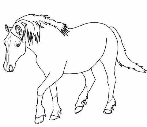 Dibujo de Caballo Isabelino para colorear | Dibujos para colorear ...