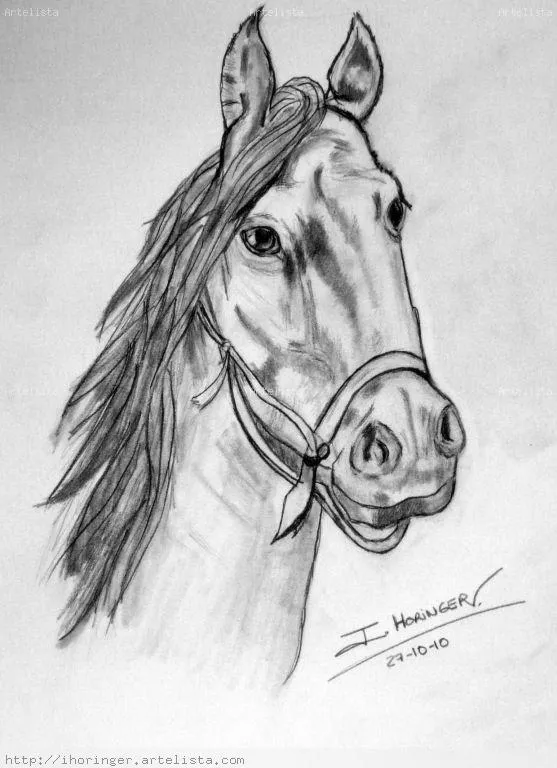 Como dibujar un caballo a lapiz - Imagui