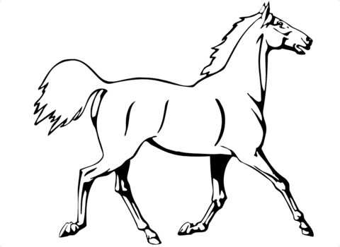 Dibujo de Caballo trotando para colorear | Dibujos para colorear ... Dibujo de Caballo trotando para colorear | Dibujos para colorear ...