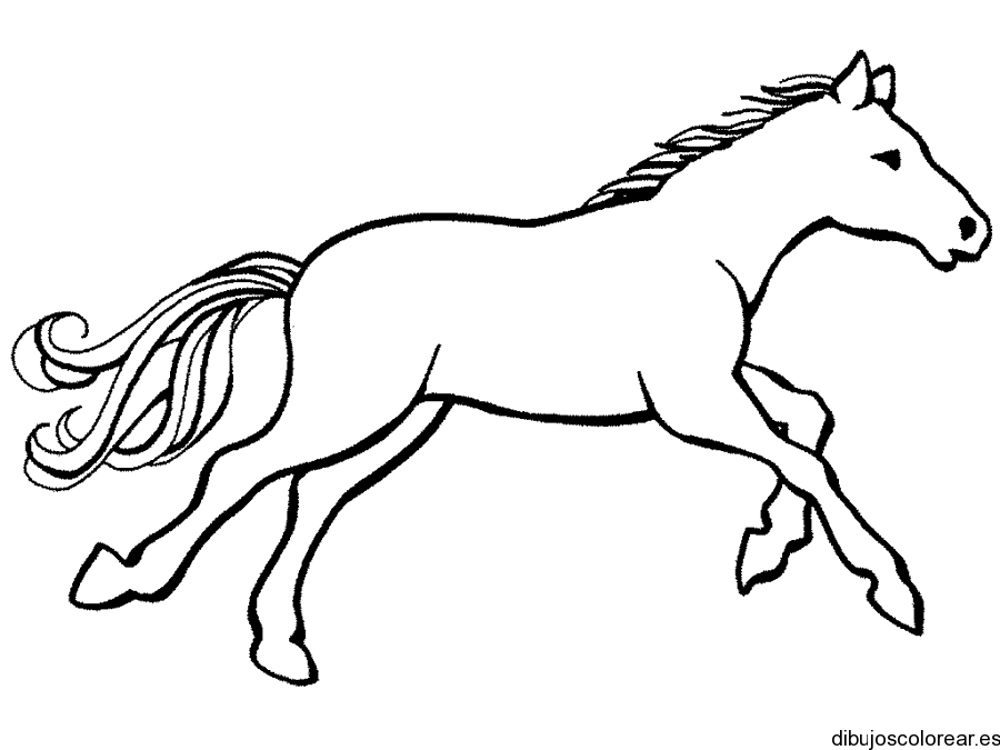 Dibujo de un caballo trotando | Dibujos para Colorear