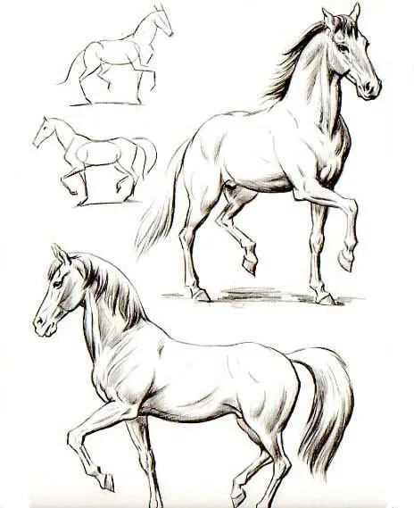 Caballos como dibujar - Imagui