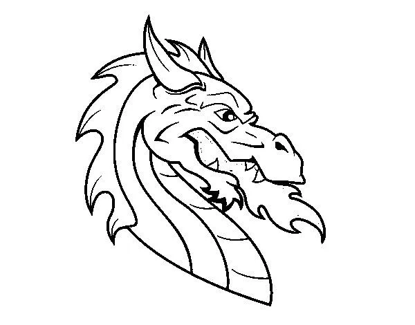 Dibujo de Cabeza de dragón europeo para Colorear - Dibujos.net