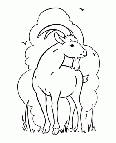 Dibujo de Cabra en el monte. Dibujo para colorear de Cabra en el ... Dibujo de Cabra en el monte. Dibujo para colorear de Cabra en el ...