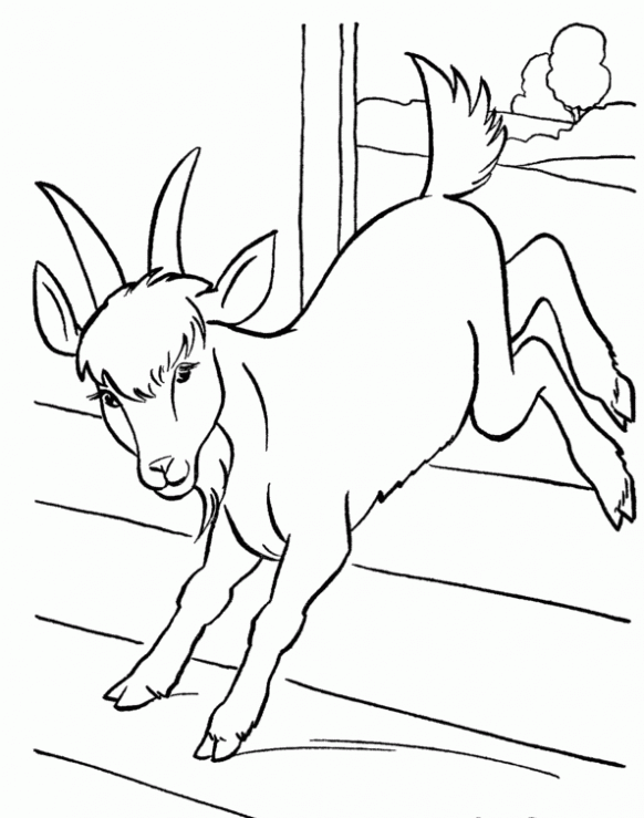 Imagen de cabrito para colorear - Imagui