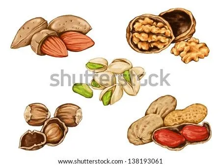 Dibujo De Cacahuetes Y Frutos Secos, Semillas Comestibles Del ...