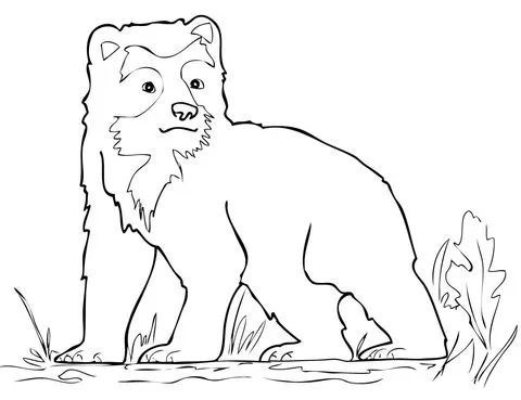 Dibujo de Cachorro de Oso de Anteojos para colorear | Dibujos para ... Dibujo de Cachorro de Oso de Anteojos para colorear | Dibujos para ...
