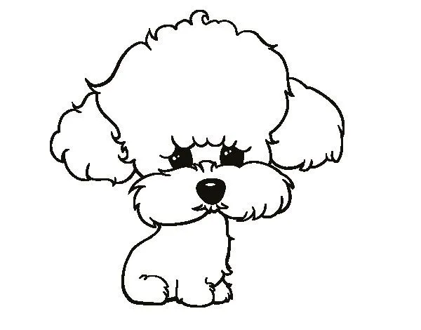 Dibujo de Cachorro de poodle para Colorear - Dibujos.net