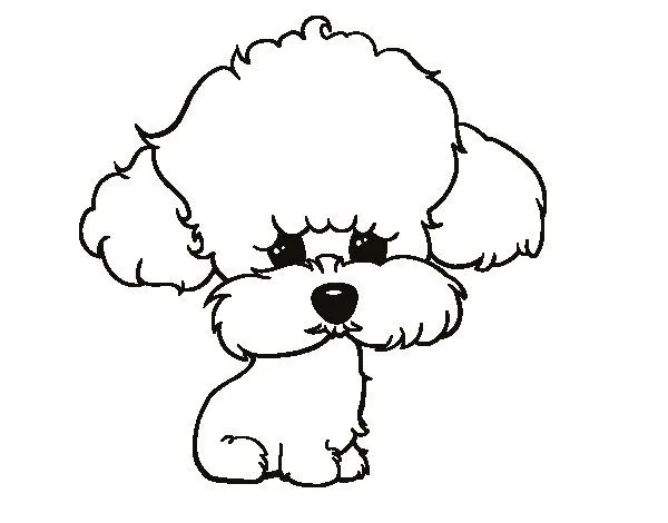 Dibujo de Cachorro de poodle para Colorear - Dibujos.net Dibujo de Cachorro de poodle para Colorear - Dibujos.net