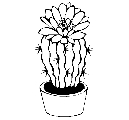 Dibujo de Cactus con flor para Colorear - Dibujos.net Dibujo de Cactus con flor para Colorear - Dibujos.net