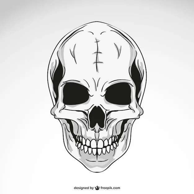 Dibujo de calavera | Descargar Vectores gratis