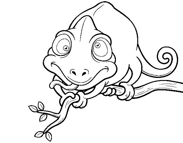 Dibujo de Camaleón en una rama para Colorear - Dibujos.net Dibujo de Camaleón en una rama para Colorear - Dibujos.net