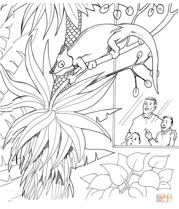 Dibujo de Un Camaleón en el zoológico para colorear | Dibujos para ... Dibujo de Un Camaleón en el zoológico para colorear | Dibujos para ...