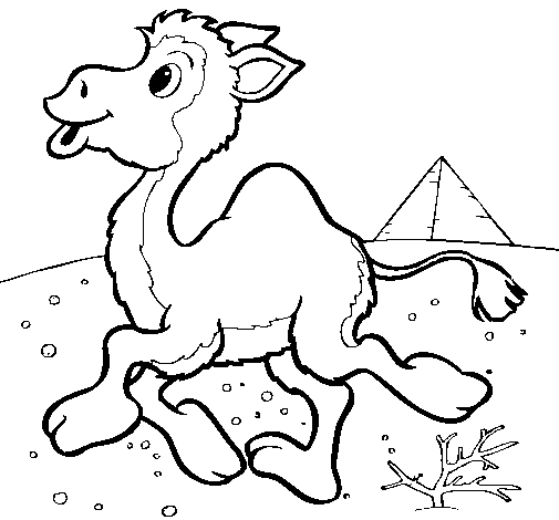 Dibujo de Camello 1 para Colorear - Dibujos.net Dibujo de Camello 1 para Colorear - Dibujos.net