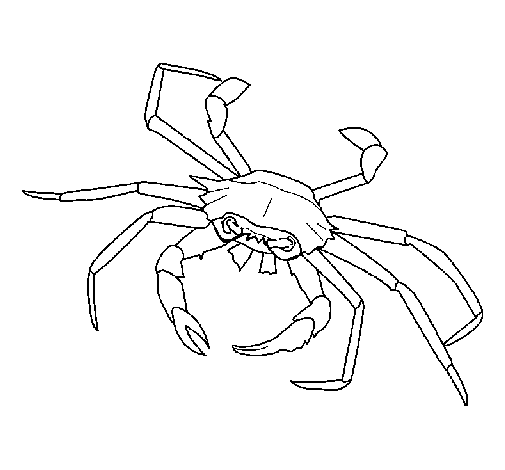 Dibujo de Cangrejo de mar para Colorear - Dibujos.net Dibujo de Cangrejo de mar para Colorear - Dibujos.net