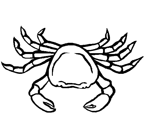 Dibujo de Cangrejo de mar 1 para Colorear - Dibujos.net Dibujo de Cangrejo de mar 1 para Colorear - Dibujos.net