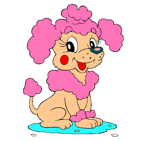 Dibujo de Caniche pintado por Perrita en Dibujos.net el día 10-09 ... Dibujo de Caniche pintado por Perrita en Dibujos.net el día 10-09 ...